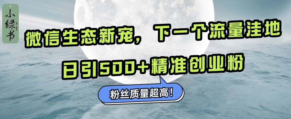 微信生态新宠小绿书:下一个流量洼地,粉丝质量超高,日引500+精准创业粉,
